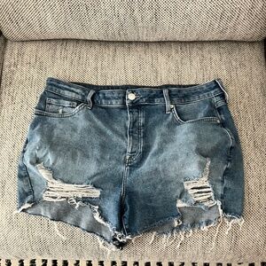 Distressed Shorts